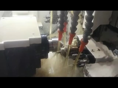 sm205 সুইস প্রকার